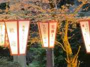 花換まつり点灯式